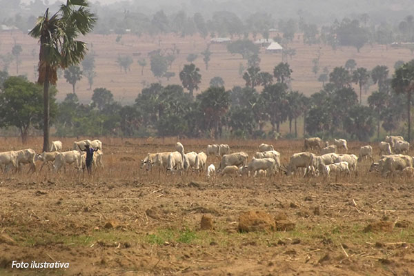 12-nigeria-fazendeiros-fulani